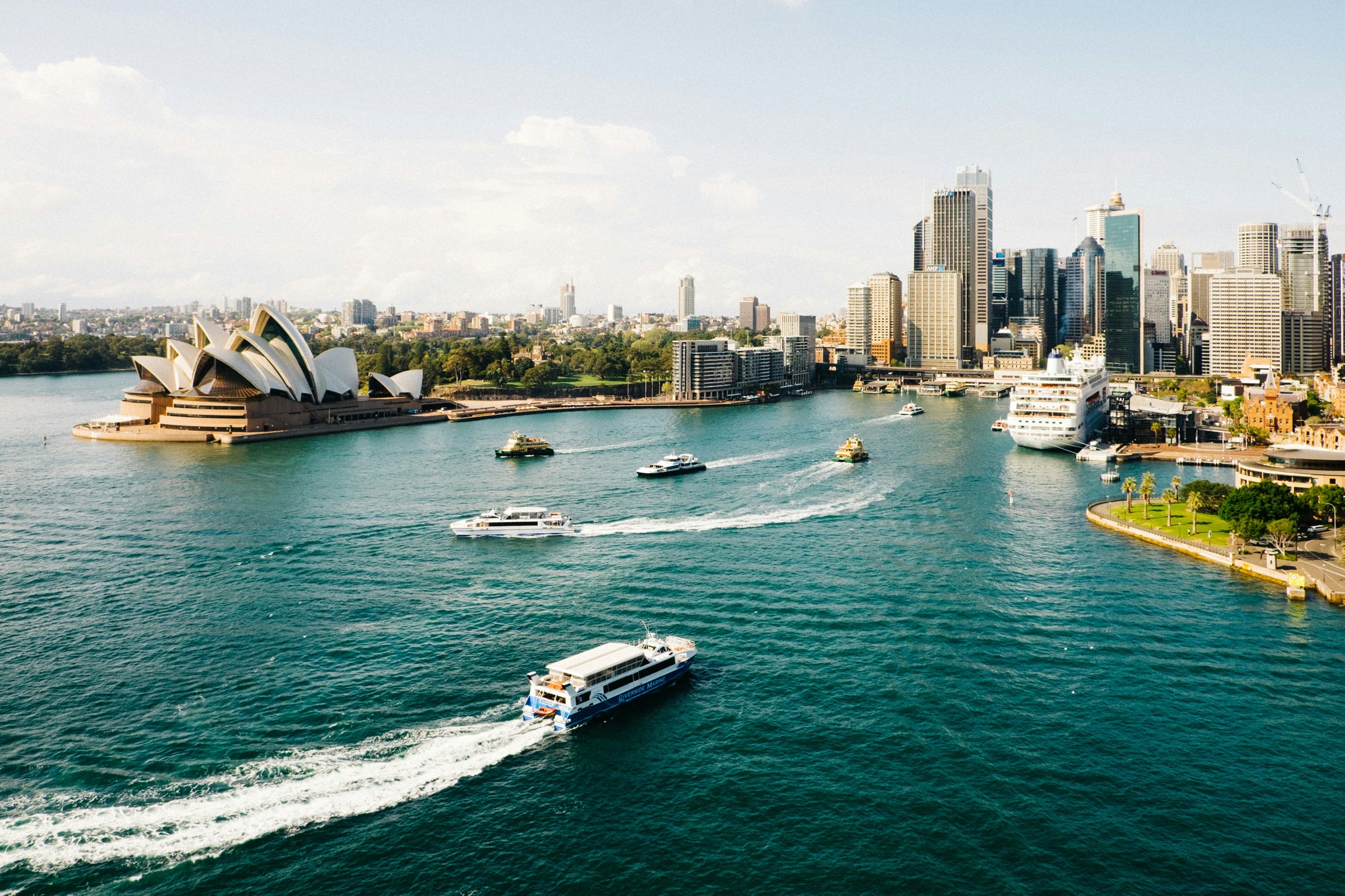 Best Picnic Spots in Sydney